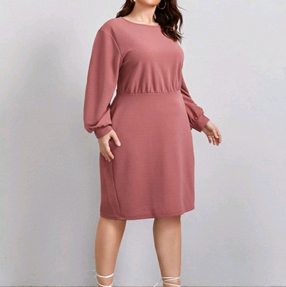 NEW Plus Fitted Dress - Picture 5 of 8